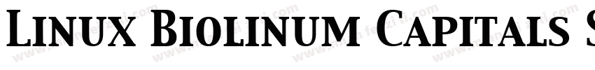 Linux Biolinum Capitals Small CapsV字体转换